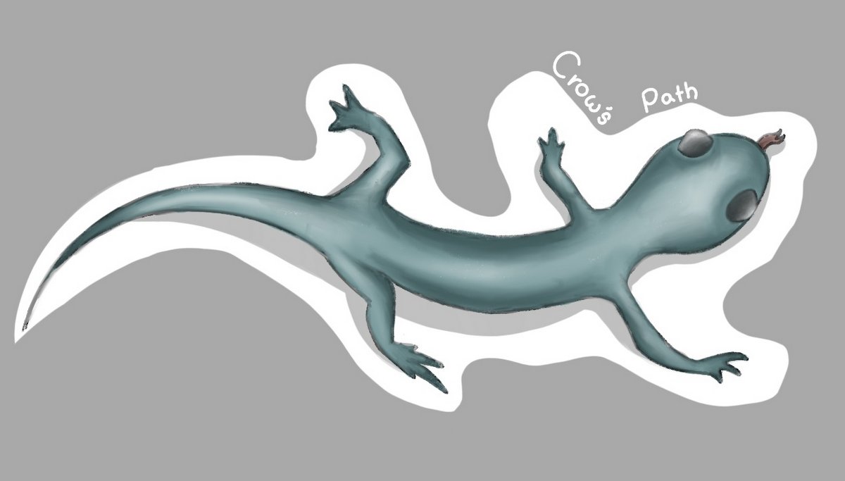 Shiloh’s drawing of a salamander for the 2022 sticker contest