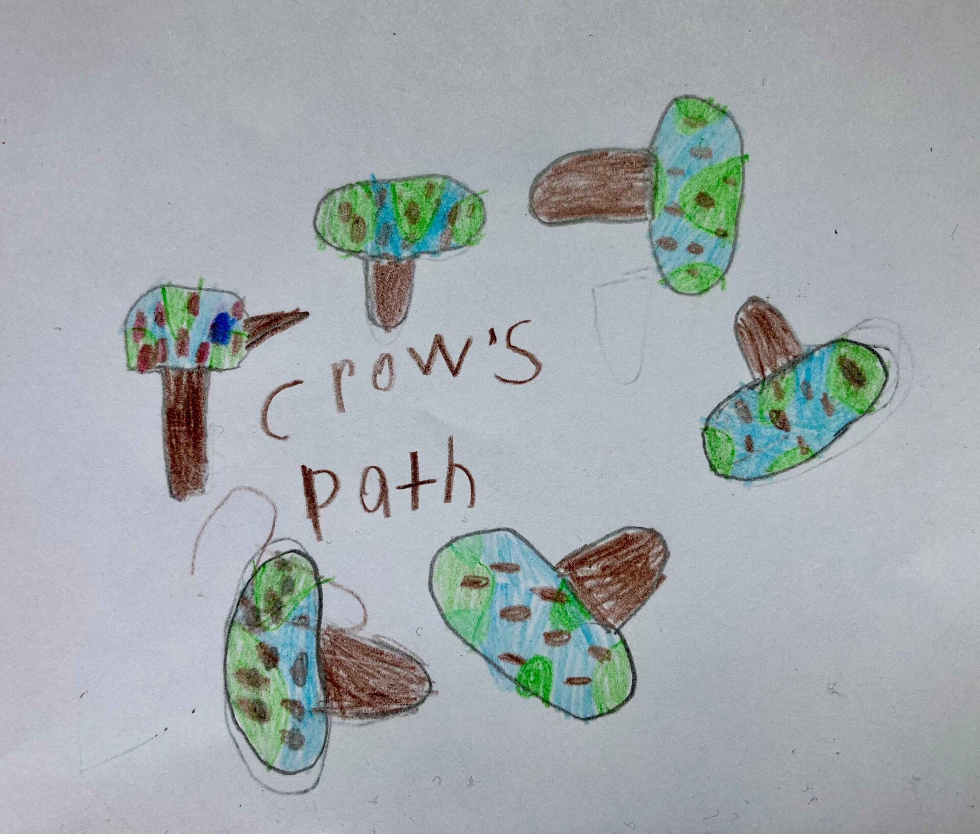 Turt the Mushroom by Mason (1) Turt the Mushroom by Mason (1)