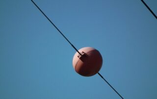 Bird ball attached to a powerline (from Wikimedia)