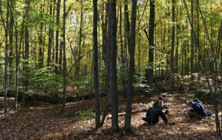 Students exploring a sugar maple forest (Wheeler Natural Area, South Burlngton)