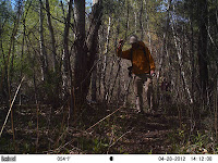 Wayward travelers Wayward travelers