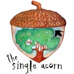The Single Acorn The Single Acorn
