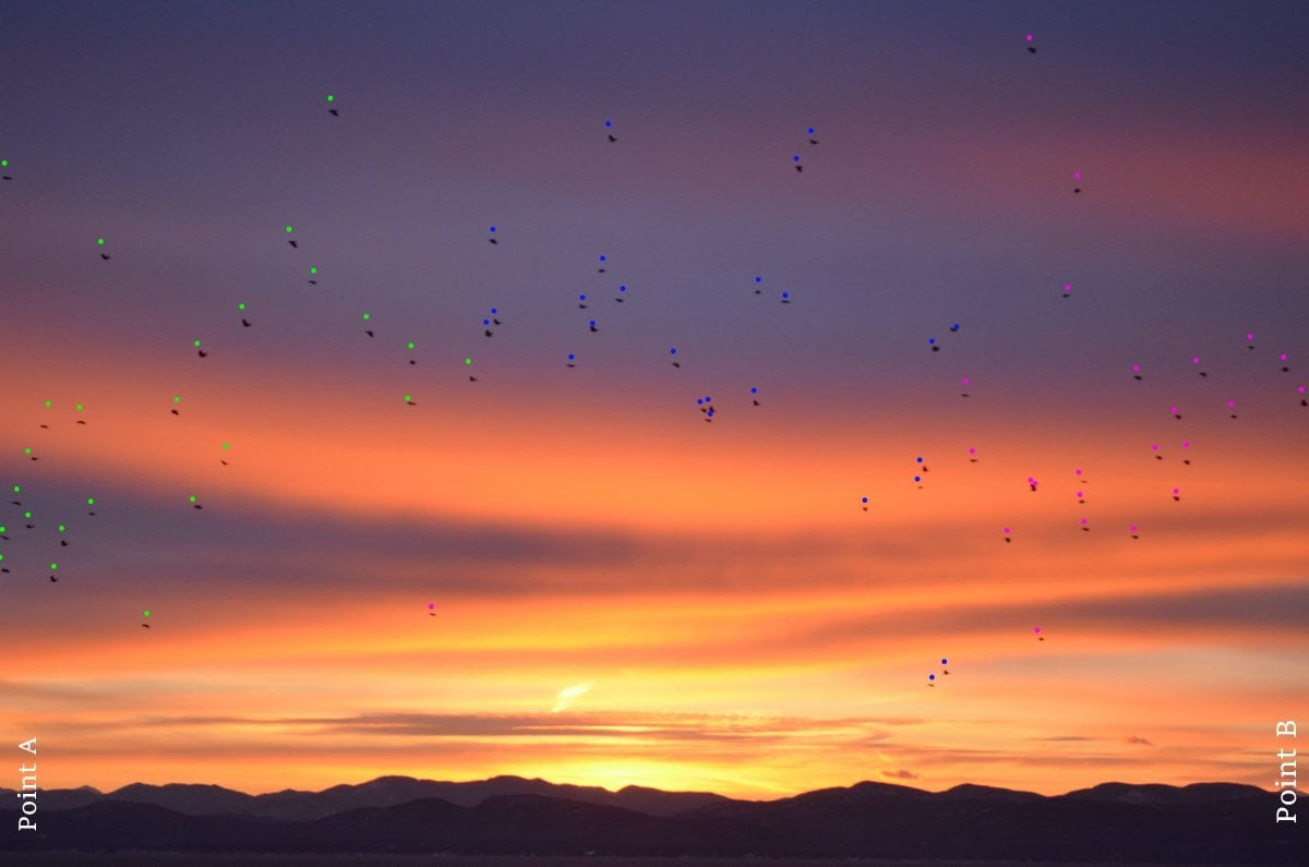 Each color dot is a color. There are a maximum of 25 dots per color