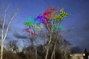 Night roost of crows clustered in a few trees behind Combat Fitness in Winooski (photo courtesy of Markus Thali). Each color dot is a color. There are a maximum of 25 dots per color
