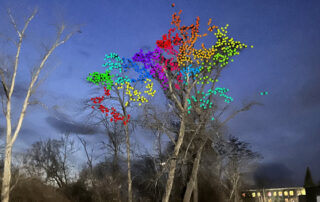 Night roost of crows clustered in a few trees behind Combat Fitness in Winooski (photo courtesy of Markus Thali). Each color dot is a color. There are a maximum of 25 dots per color